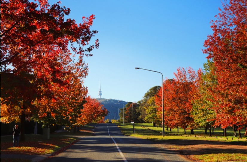 Autumn - the best time in our beautiful Town. 
We will be celebrating Autumn this weekend at some great events, slinging our finest for your cannoli pleasure. 

Saturday:
Bungendore Harvest Festival 10am from 2pm
Italian Festa: Sotto le Stelle 4pm to 8:30pm 
by the lake under the stars at National Museum of Australia
Capital Region Farmers Market, Canberra AWAY back after Easter.

Sunday:
Old Bus Depot Markets Kingston 9:30am to 2:30pm.
Auto Italia 2025 9am to 2pm in Queanbeyan Park.
Haig Park Village Markets AWAY Back for Easter.

Hope to see u all this weekend enjoying the Autumn vibes,
Papa and the Team.

#autumnvibes 
#cannoli #glutenfree  #cannoligetemhere  #vegan #hercanberra #visitnsw #EventsACT #canberra #canberraeats #canberralife #canberralocals #cbr #eatlocal #eatcanberra #canberrasmallbusiness #visitcanberra #wearecbr  #foodporn  #canberrabusiness #cbreats
#haigparkvillagemarkets
#oldbusdepotmarkets
#crfarmersmarket
#capitalregionfarmersmarket
#bungendoreharvestfestival
#autoitalia
#nationalmuseumaustralia
#italianfesta
Auto Italia

Photo Credit Weekend Notes - Canberra